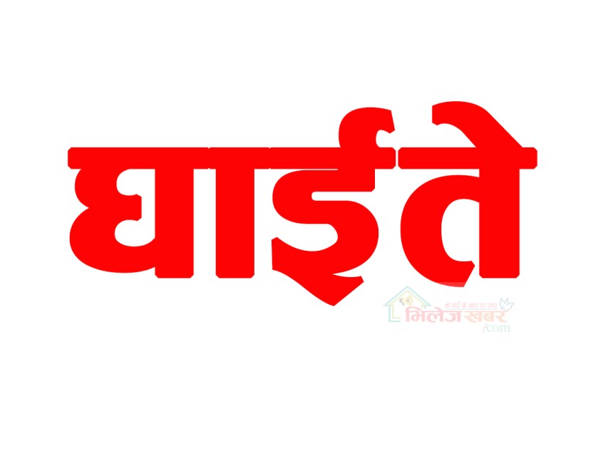 ढुङ्गा प्रहारबाट आलम्पुकी एक बृद्धा गम्भिर घाईते, आइसियुमा राखेर उपचार हुँदै