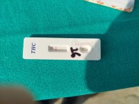 लापसे गरेर सवारी चलाउने अरनिको यातायातका एक चालक दोलखामा पक्राउ