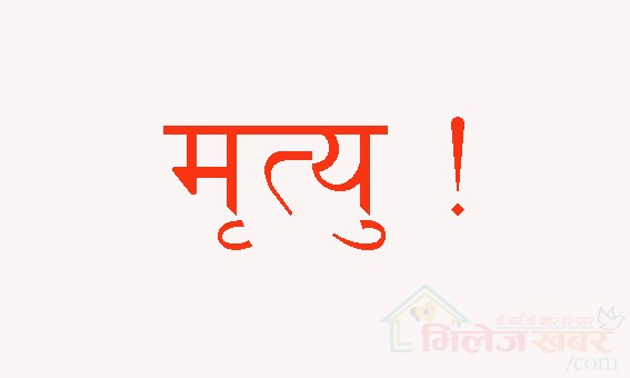 गाडीको ठक्करबाट भीमेश्वर नगरपालिकामा एक पैदलयात्रीको मृत्यु