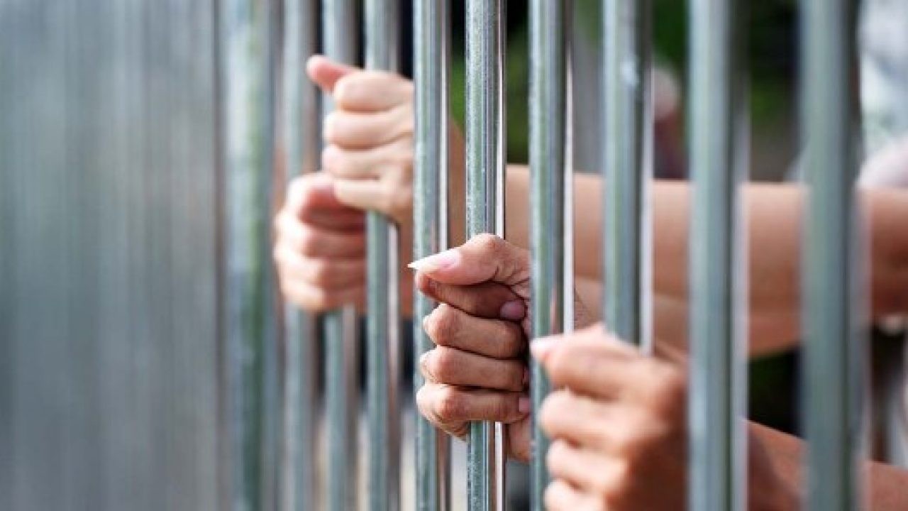 प्रजातन्त्र दिवसको अवसरमा सरकारद्वारा सैयौं कैदीको कैद छुट
