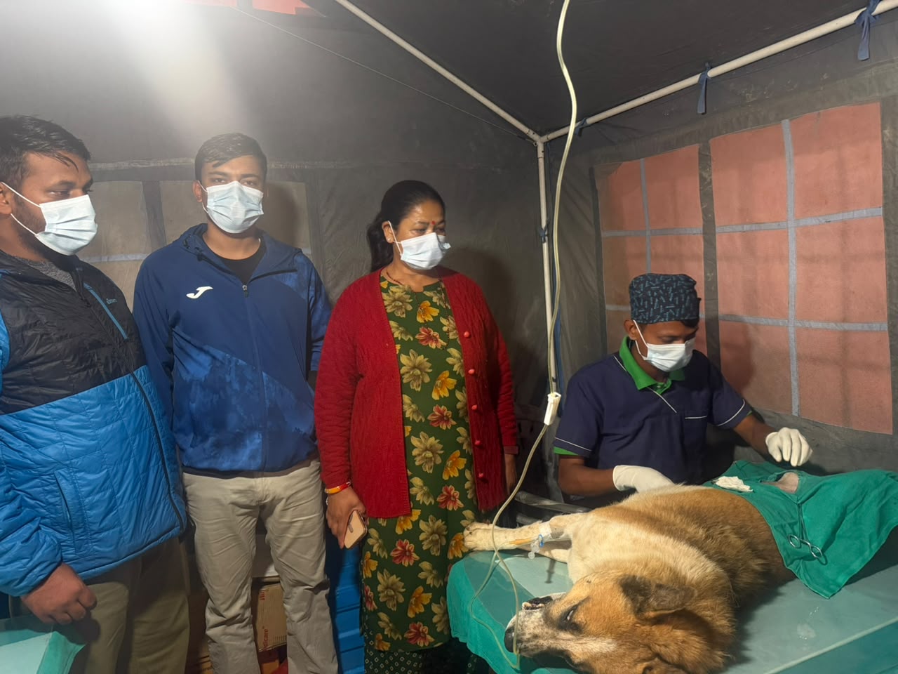 भीमेश्वर नगरपालिकामा कुकुर बन्ध्याकरण तथा रेबिज विरुद्धको खोप अभियान