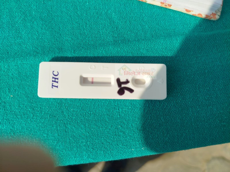 लापसे गरेर सवारी चलाउने अरनिको यातायातका एक चालक दोलखामा पक्राउ