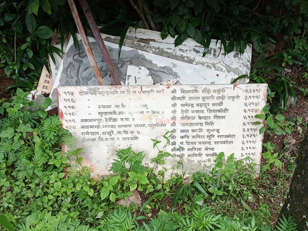 Kotihome-Shipatra-1-1782691271.jpg