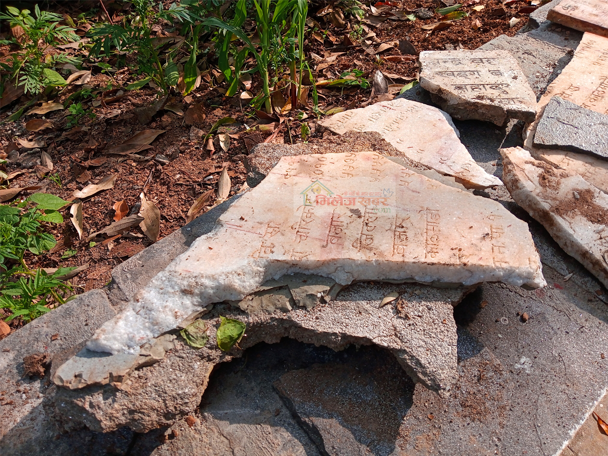 Kotihome-Shipatra-2-1782691272.jpg