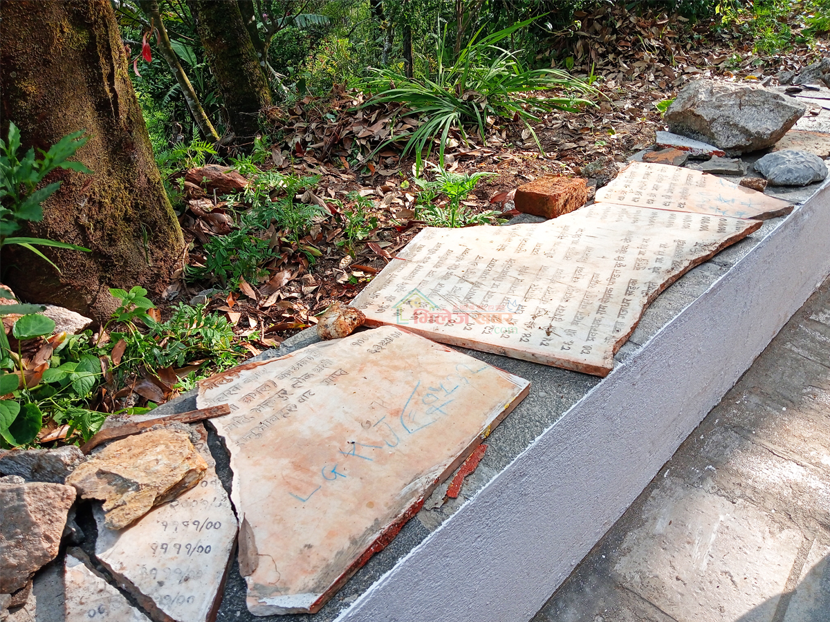 Kotihome-Shipatra-3-1782691274.jpg